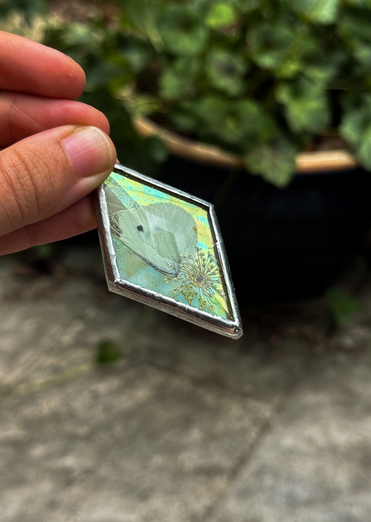 Small White yellow ornament
