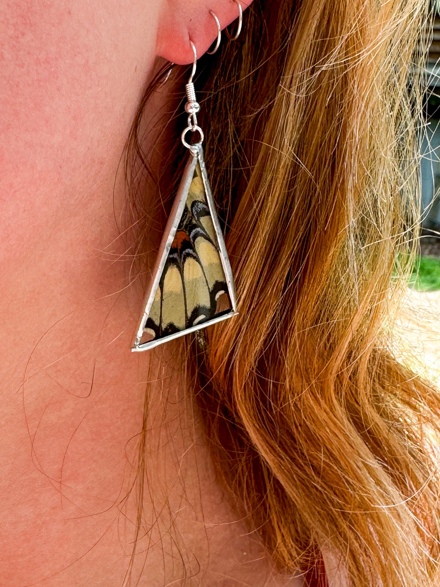 Eastern Giant Swallowtail wing earrings (triangle)