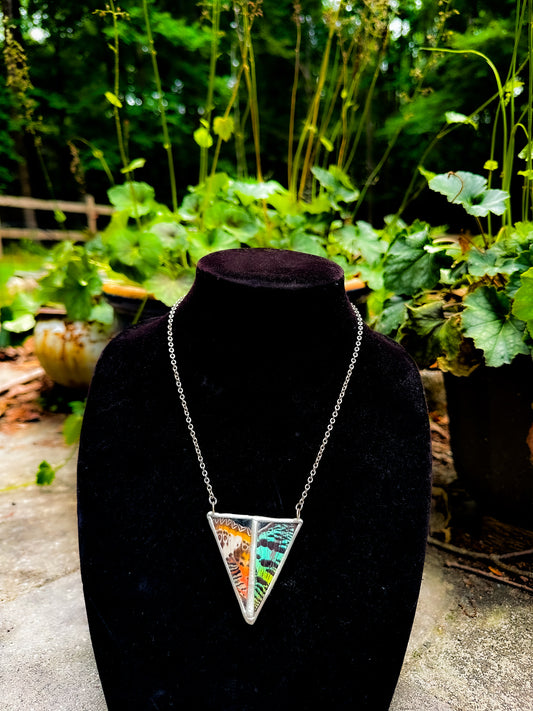 Mixed butterfly wing necklace