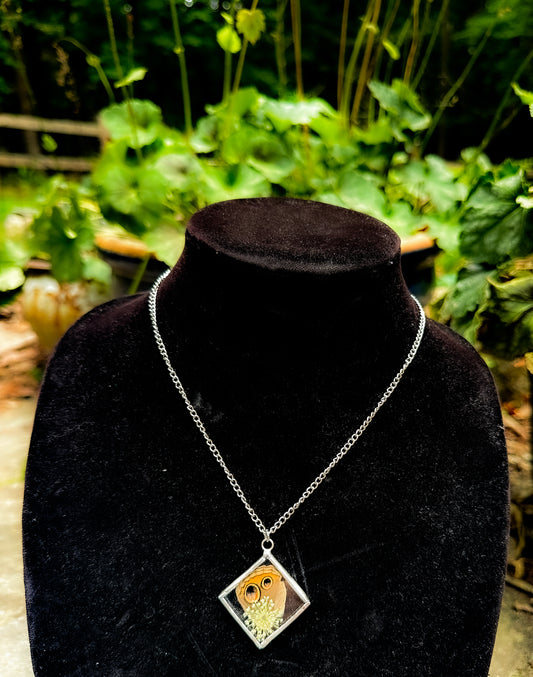 Common Buckeye necklace (diamond)