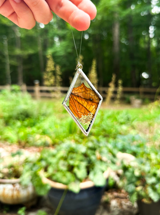 Common Cruiser ornament