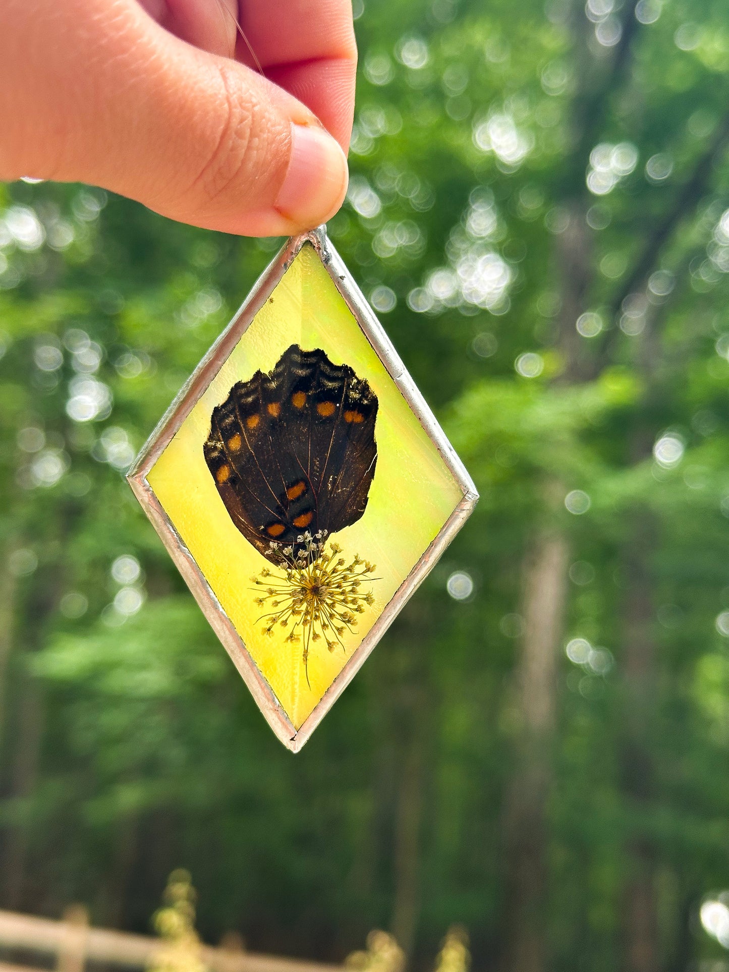 Red-spotted admiral yellow ornamnet