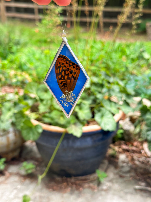 Fritillary wing blue ornament