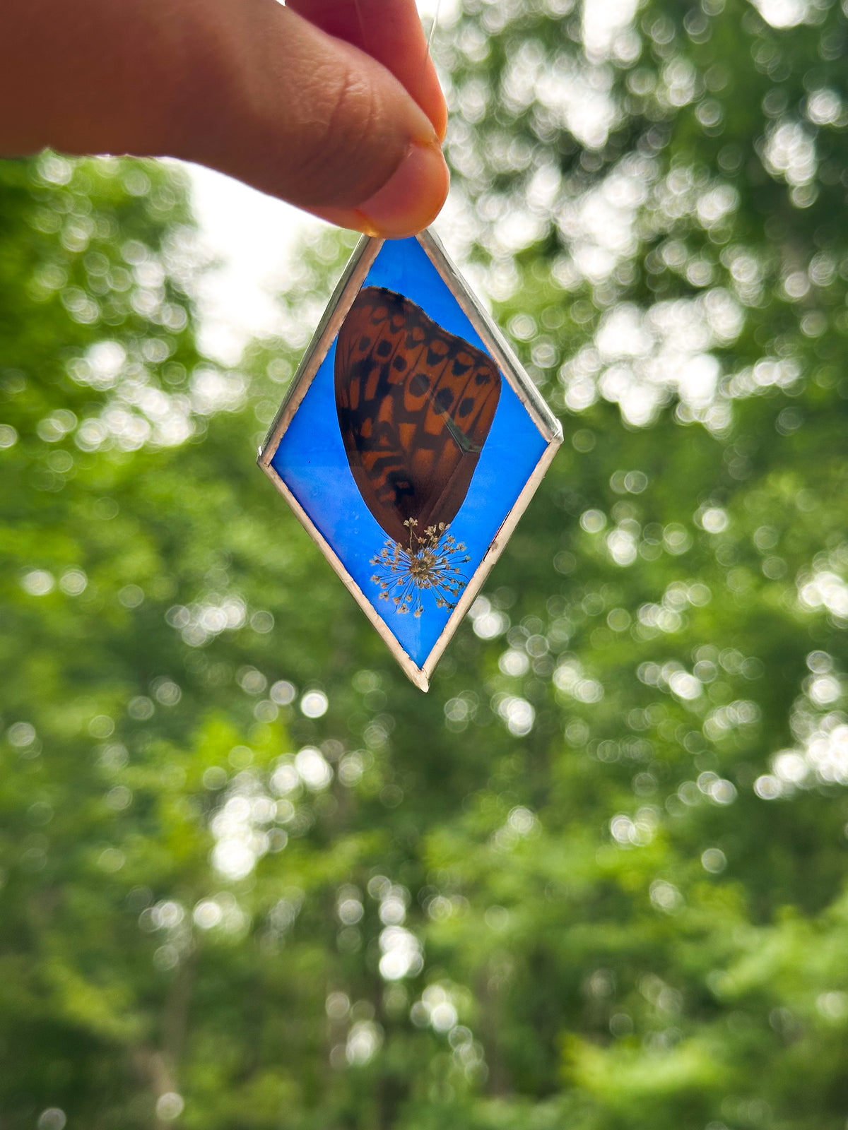 Fritillary wing blue ornament