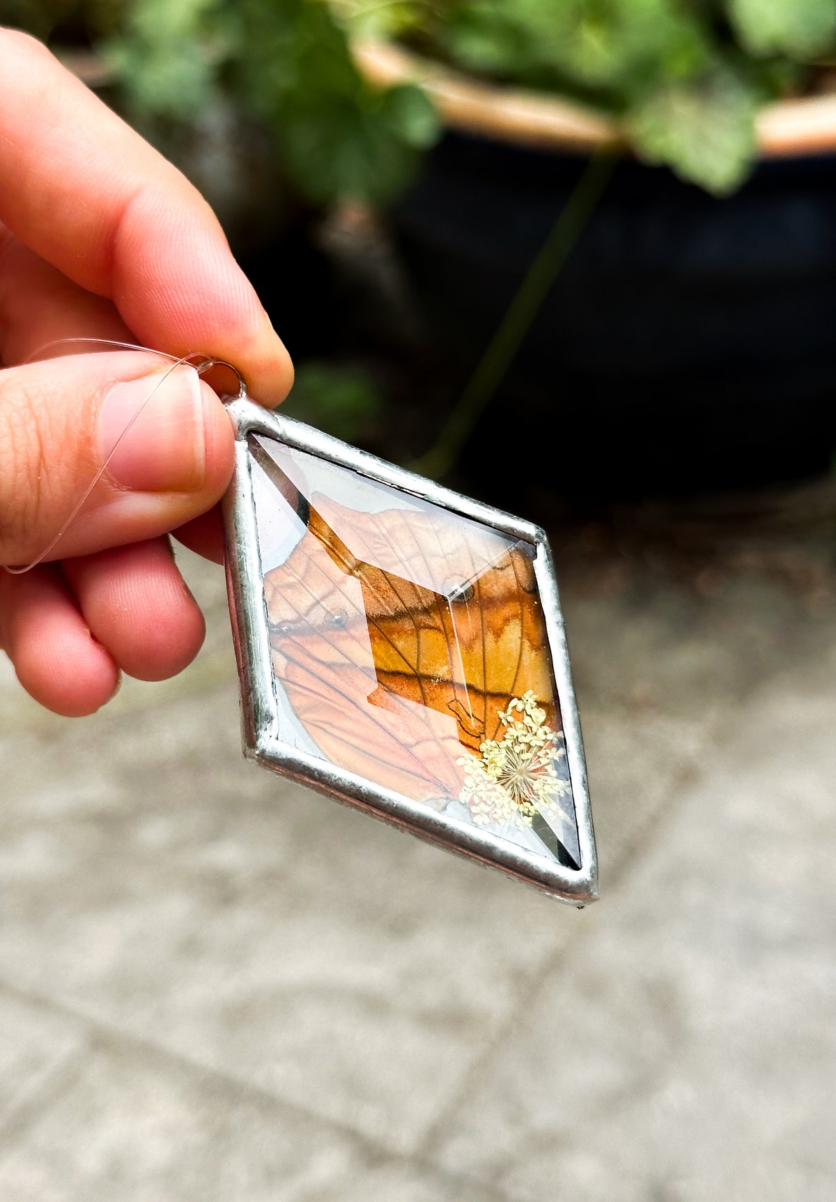 Common Cruiser ornament