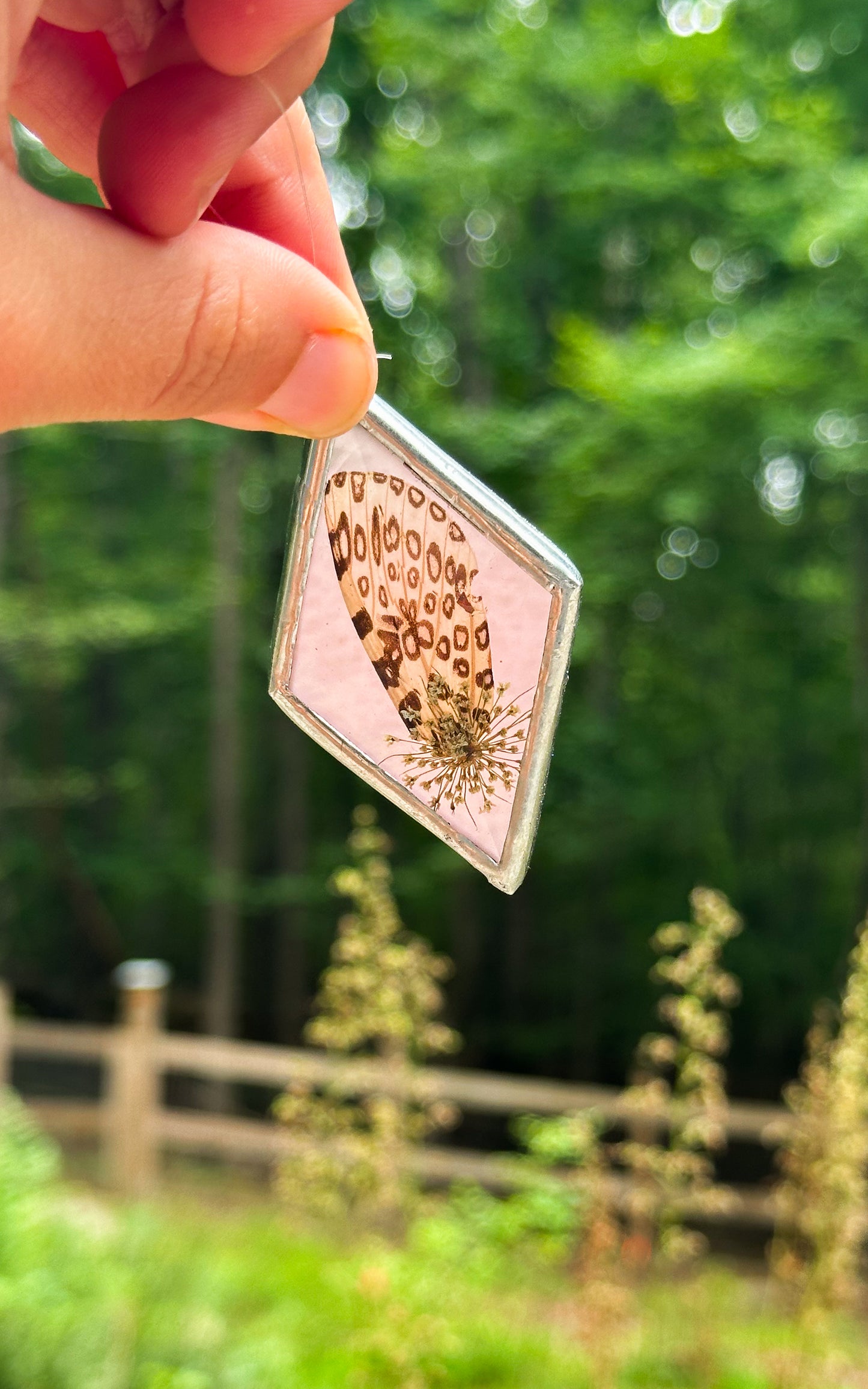 Leopard moth pink ornament