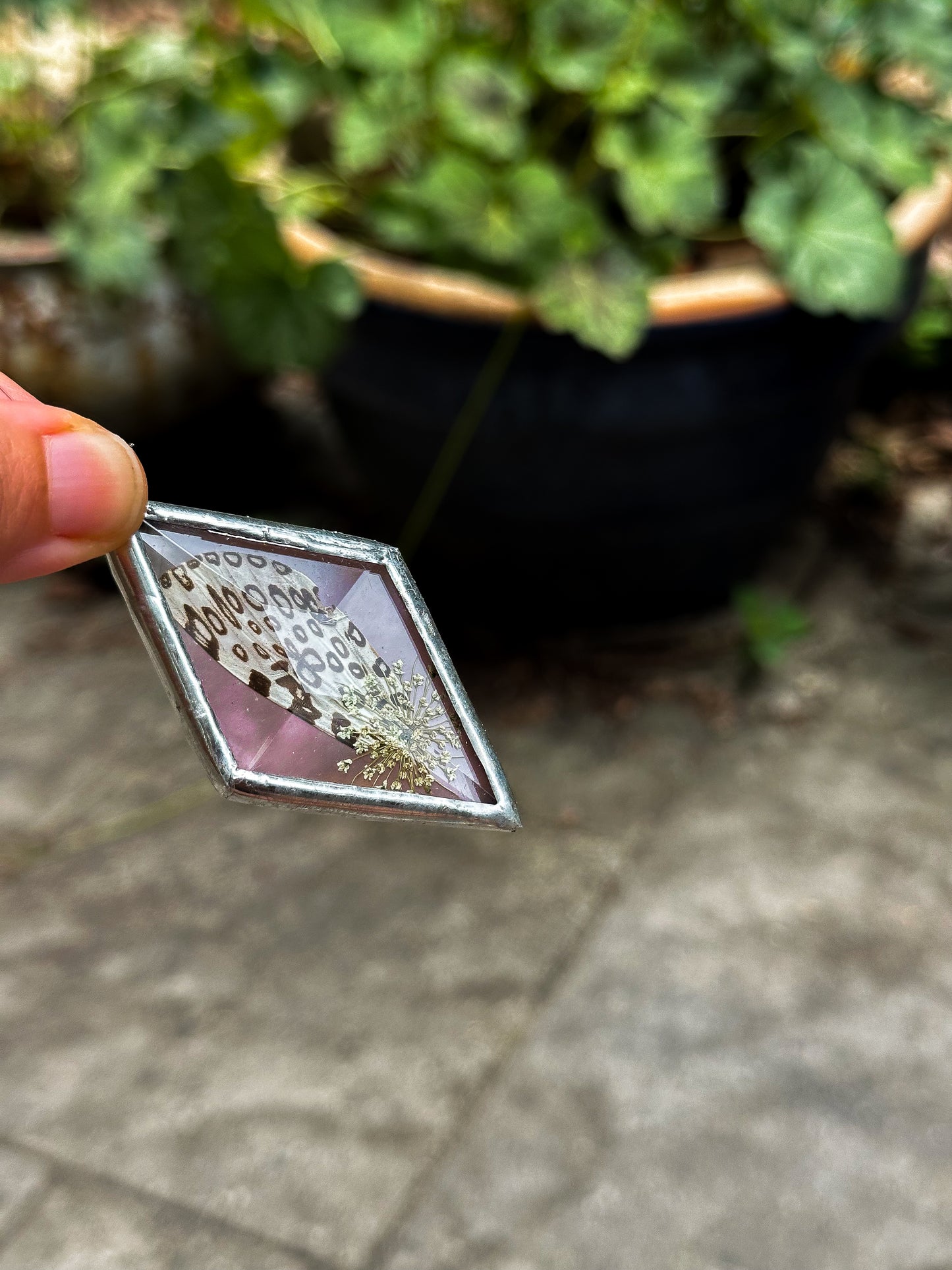 Leopard moth pink ornament