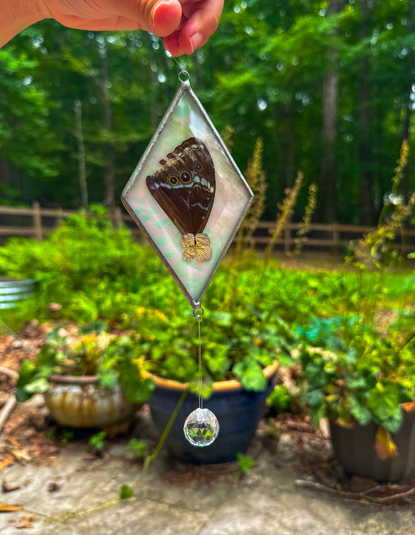 Blue morpho and hydrangea iridescent mobile