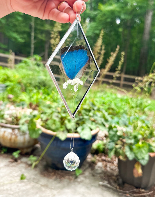 Blue morpho transparent mobile