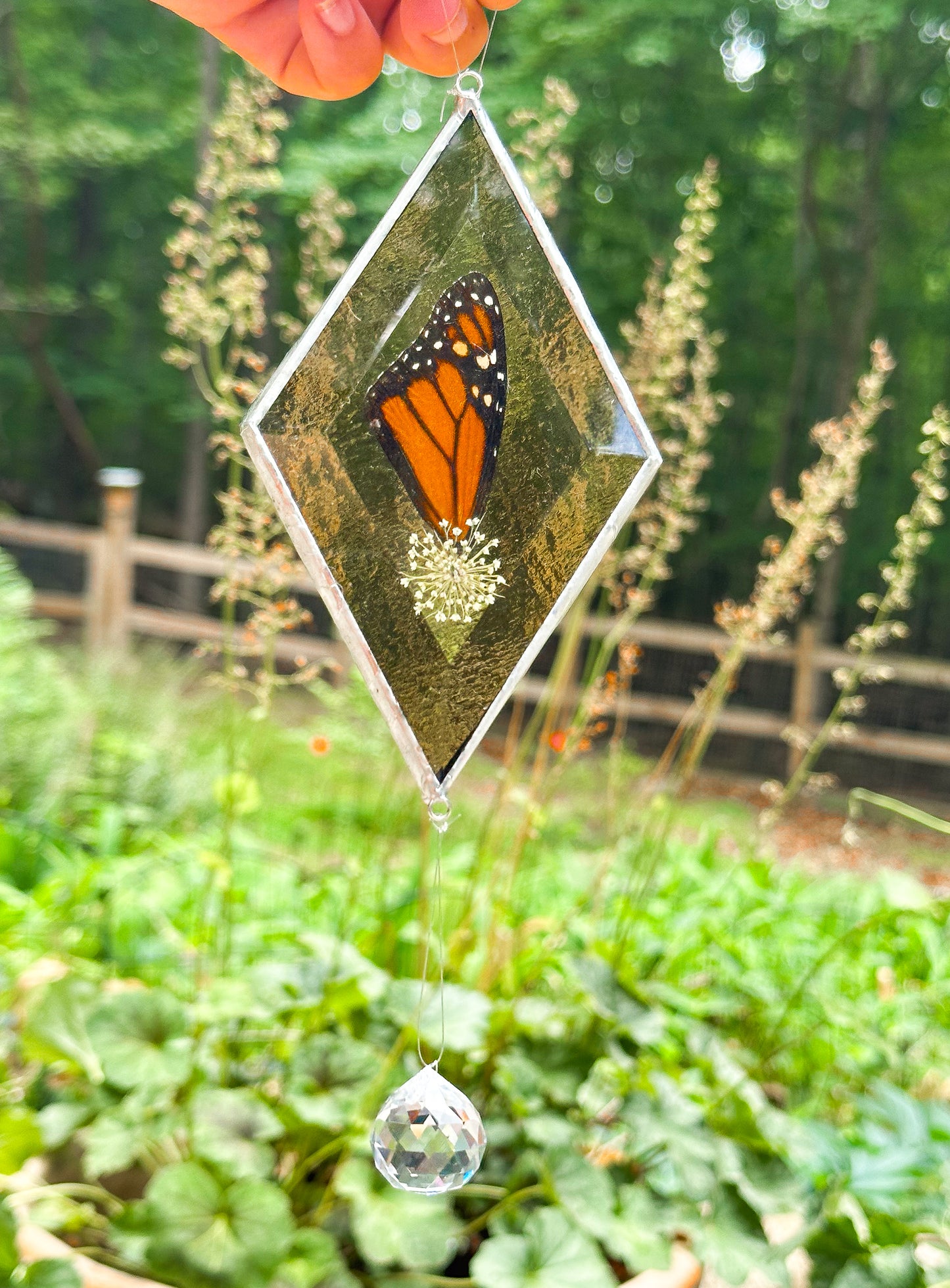 Monarch amber mobile