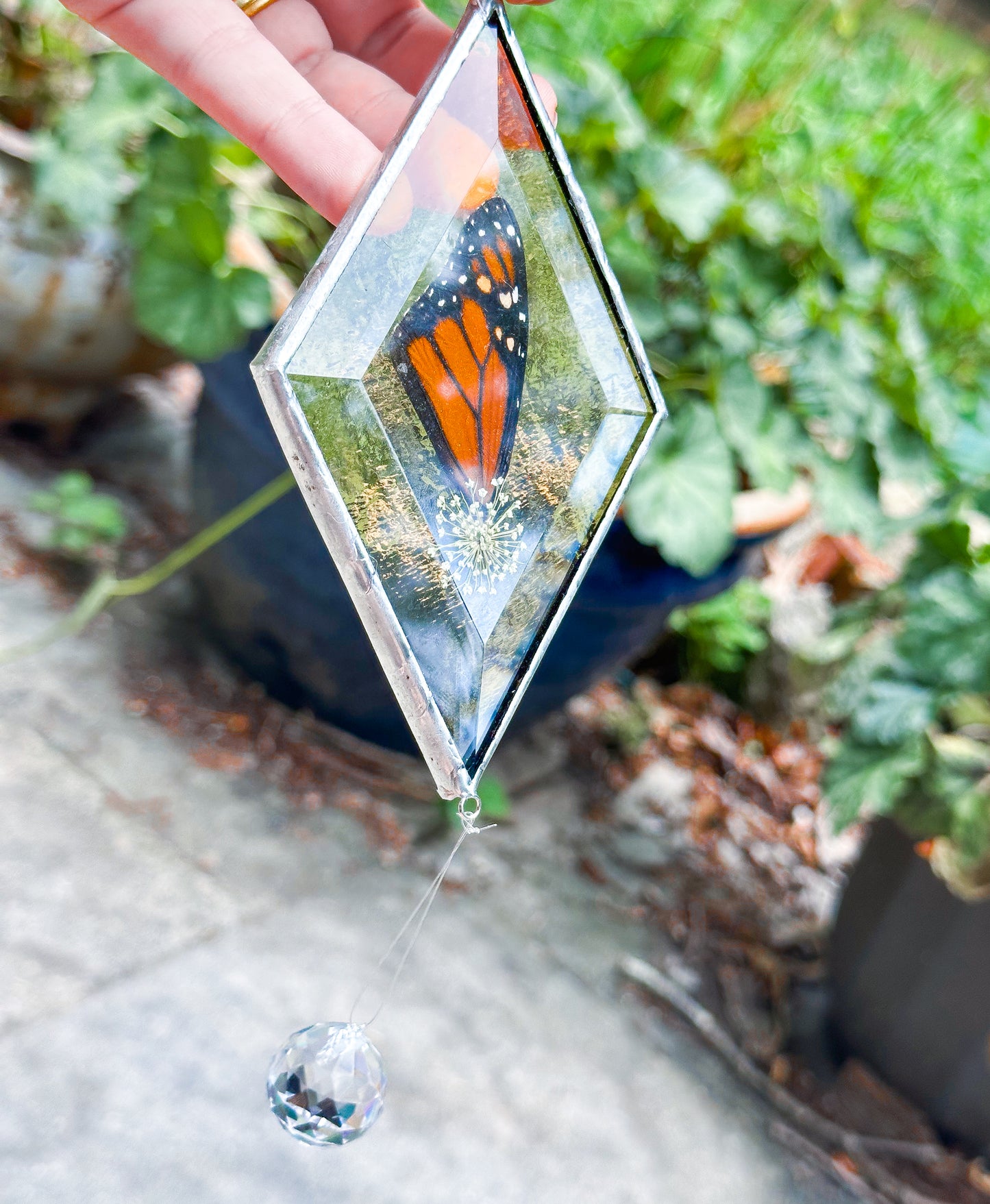 Monarch amber mobile