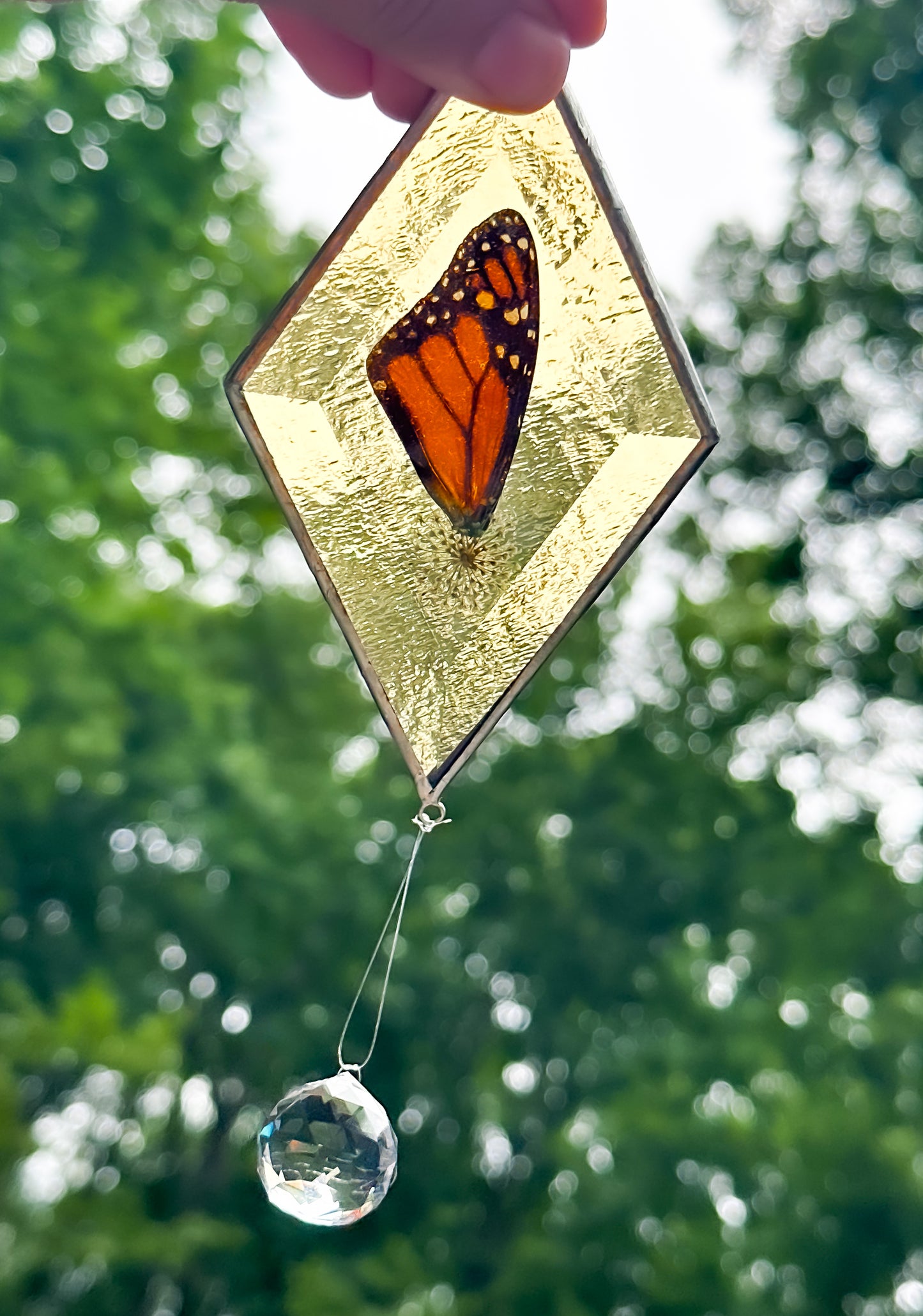Monarch amber mobile