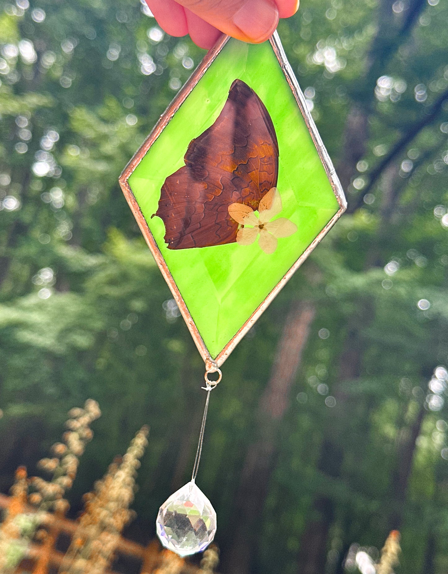 Dead Leaf butterfly double wing mobile