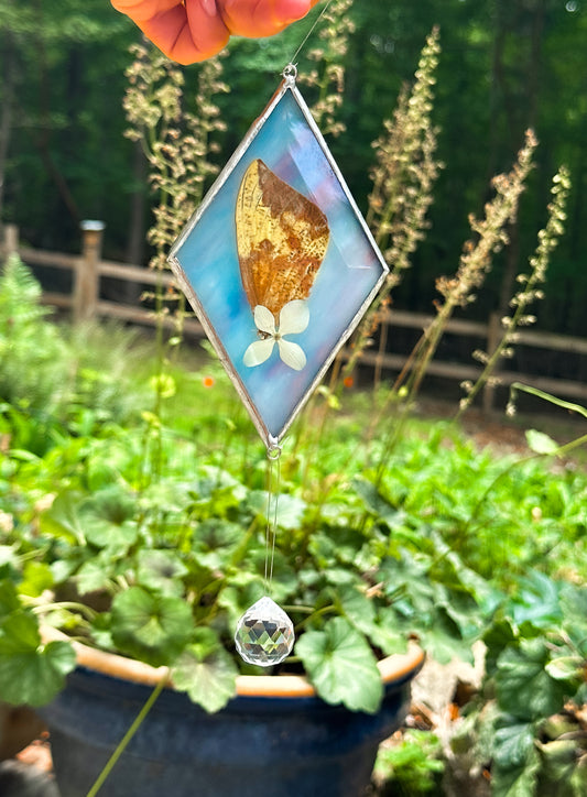 Imperial moth and hydrangea mobile