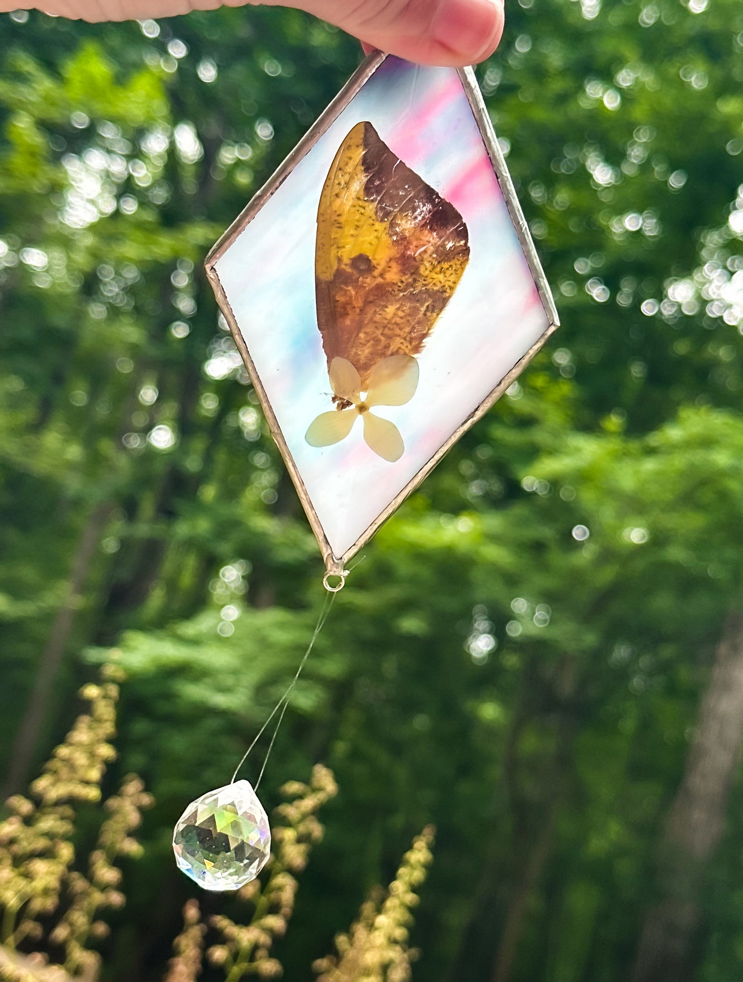 Imperial moth and hydrangea mobile