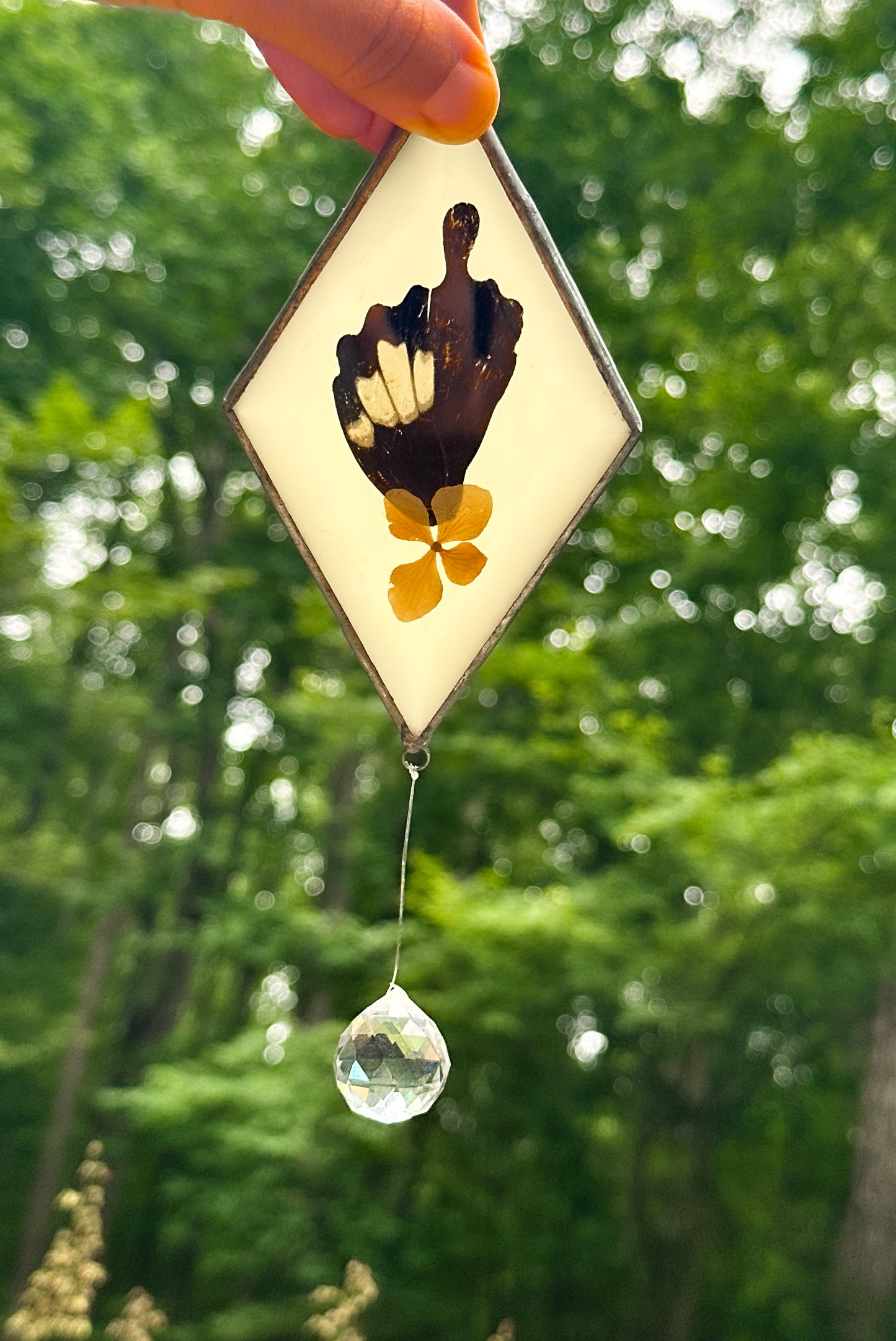 Swallowtail (papilio albinus) mobile