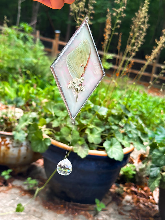 Luna and baby's breath mobile