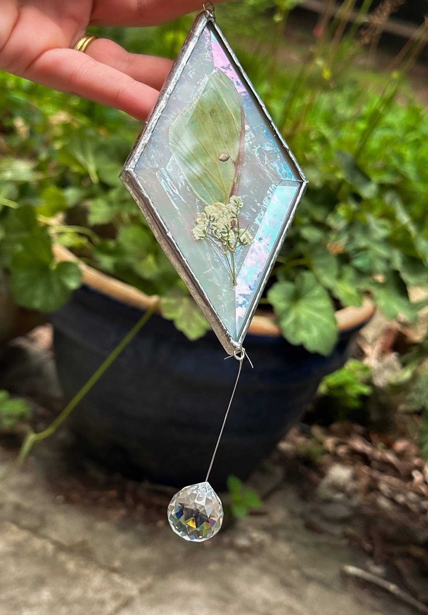 Luna and baby's breath mobile
