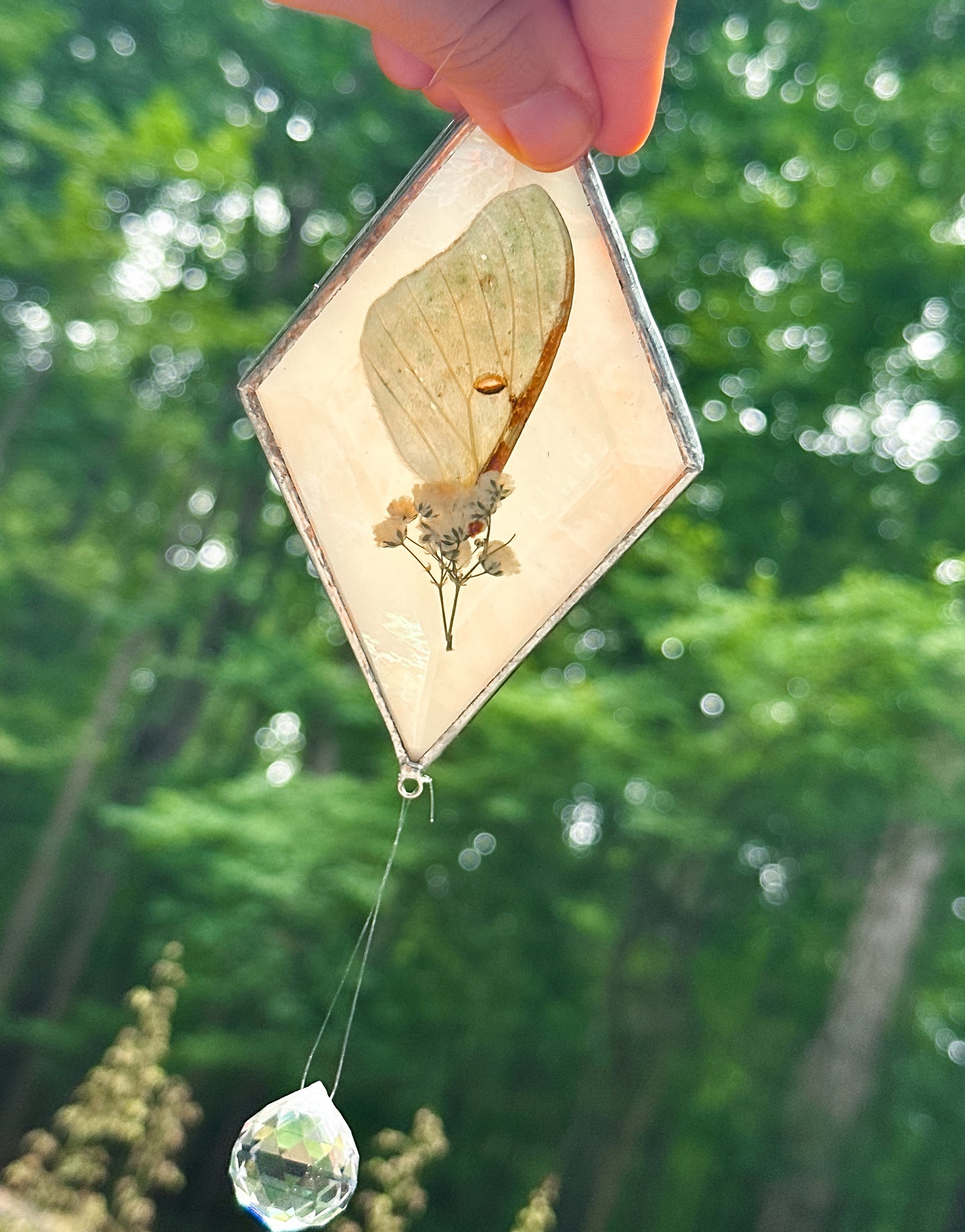 Luna and baby's breath mobile