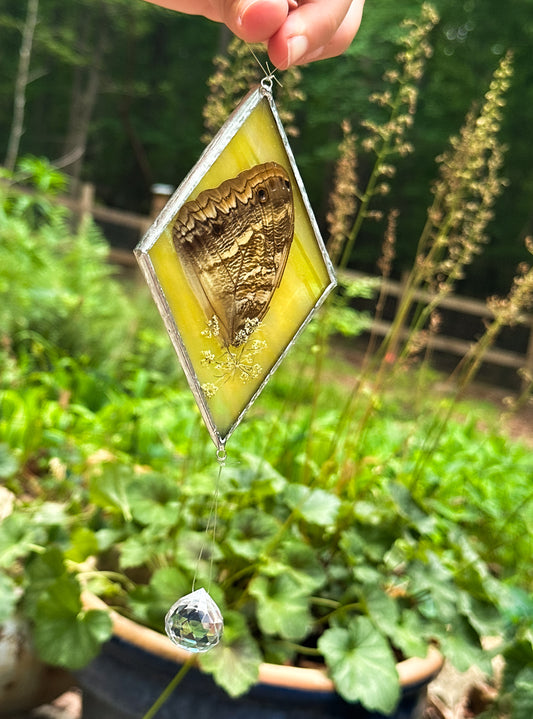 Owl butterfly yellow mobile