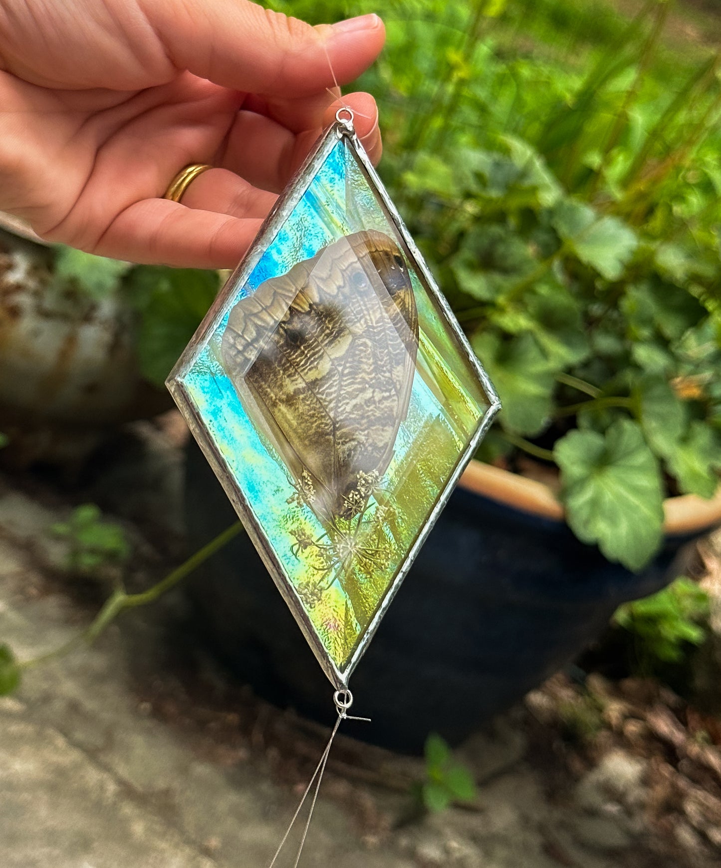 Owl butterfly yellow mobile