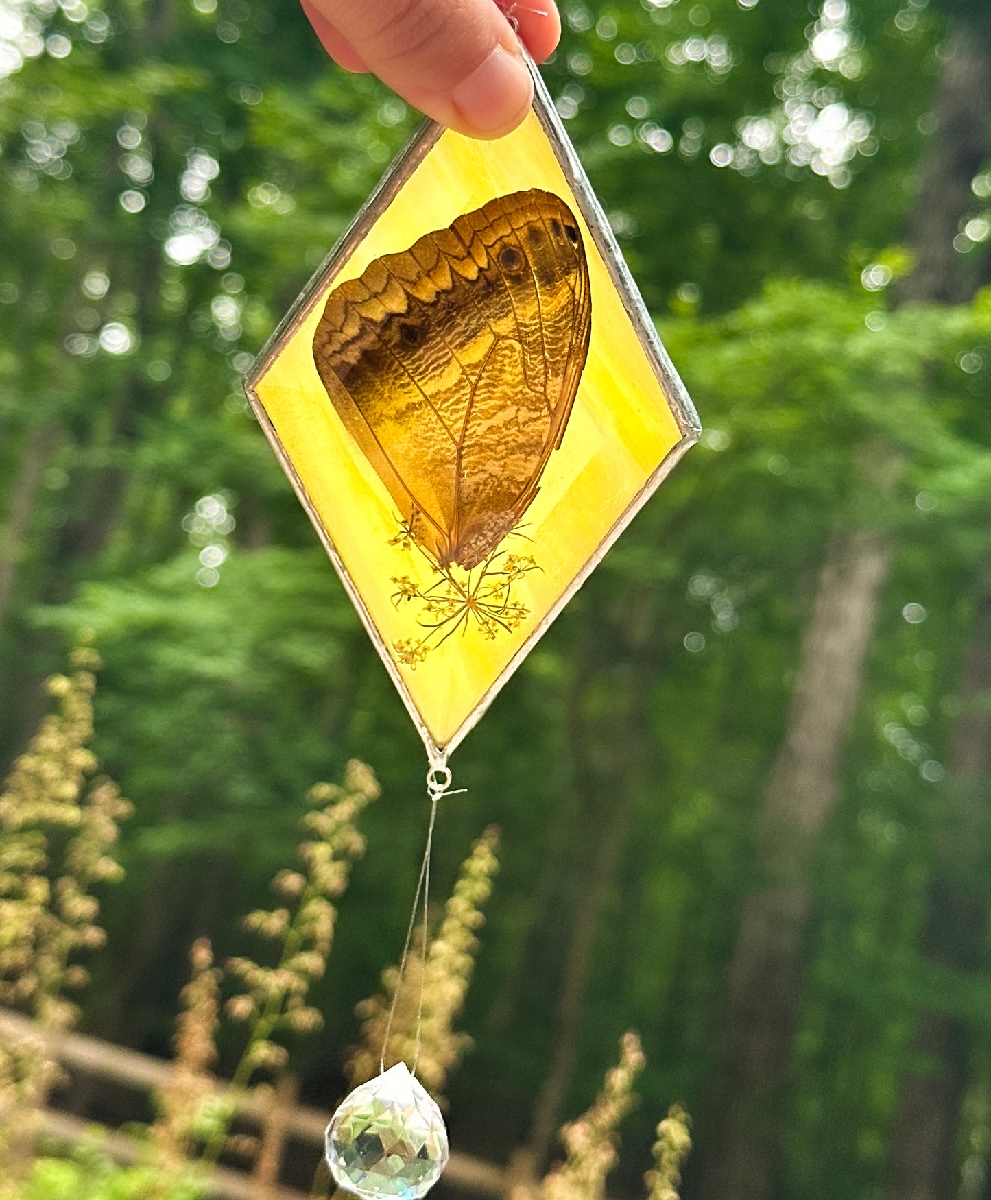 Owl butterfly yellow mobile