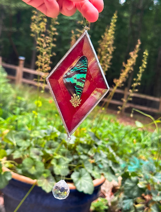 Sunset moth red mobile