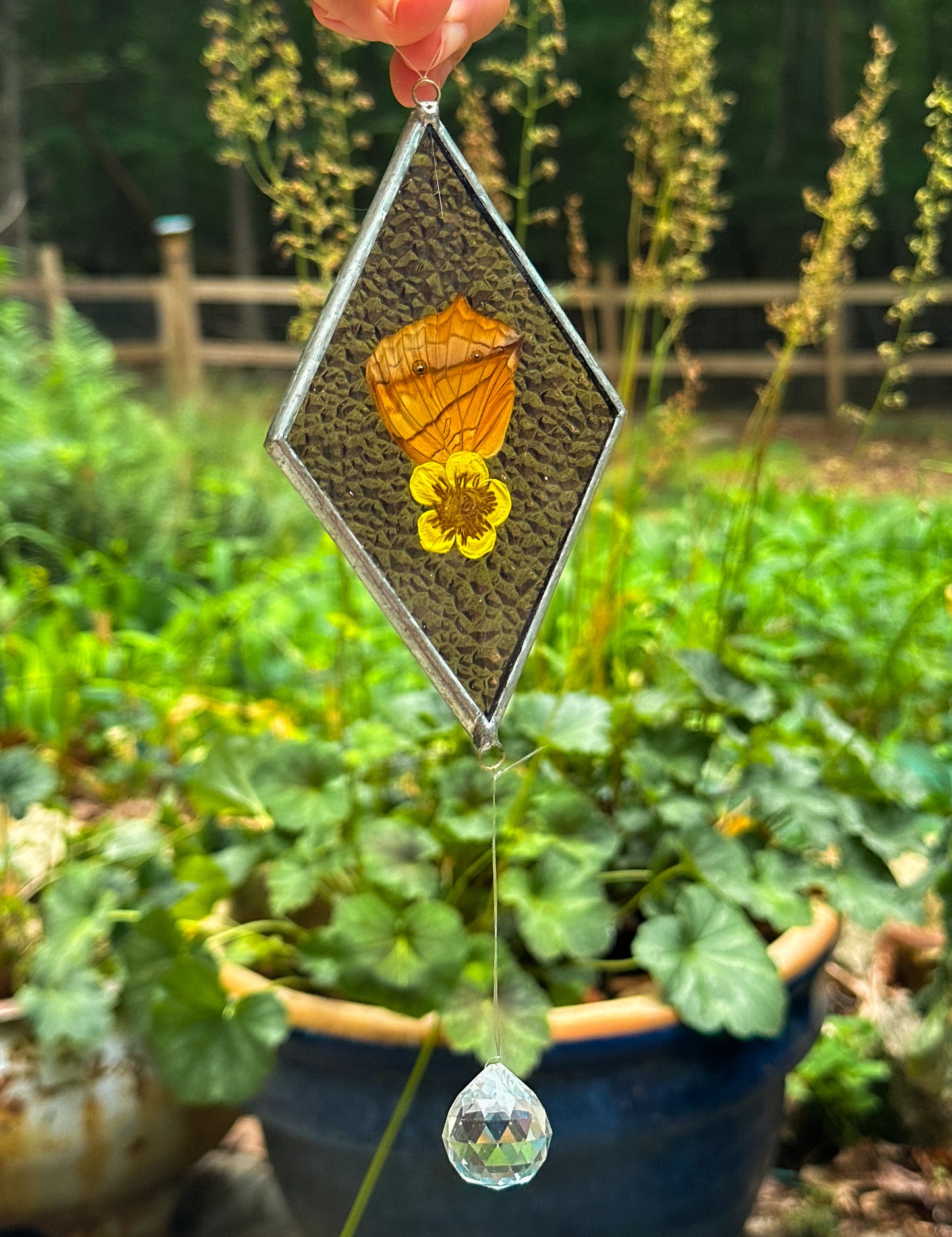 Oakleaf butterfly wing mobile