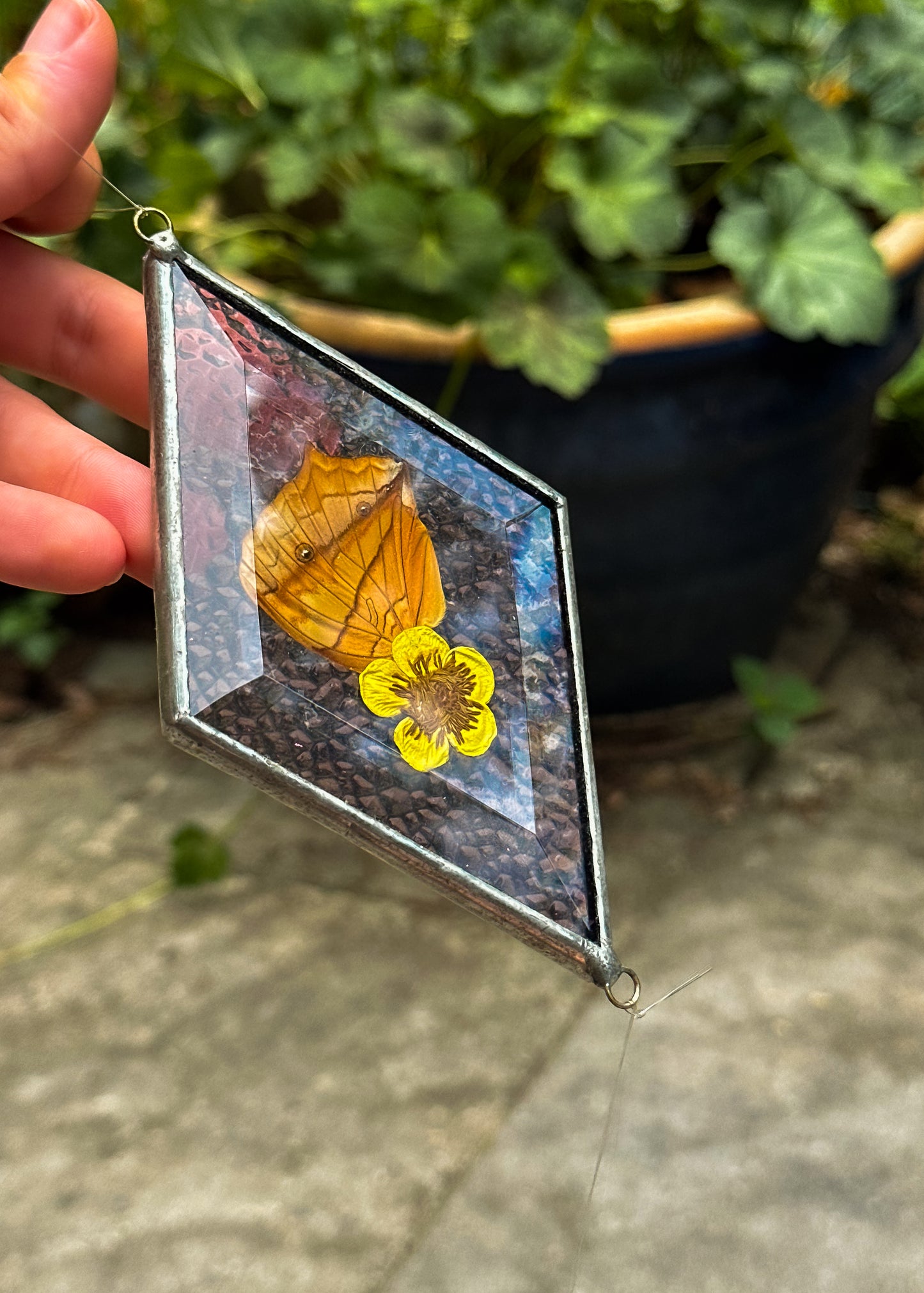 Oakleaf butterfly wing mobile