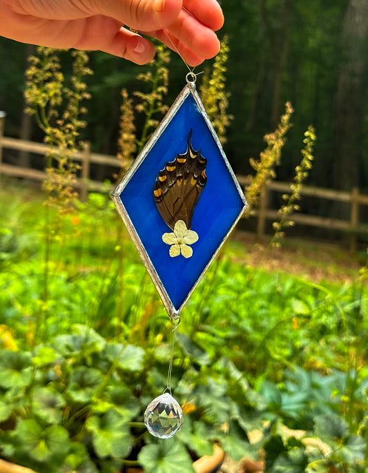 Spicebush swallowtail blue mobile
