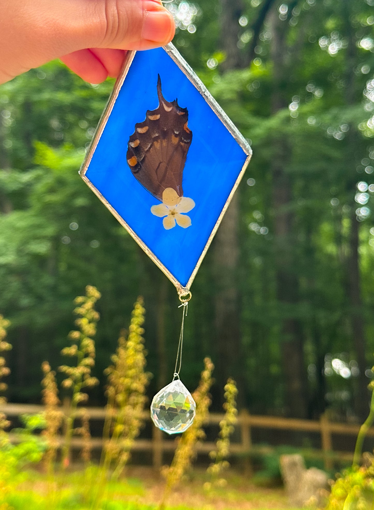 Spicebush swallowtail blue mobile