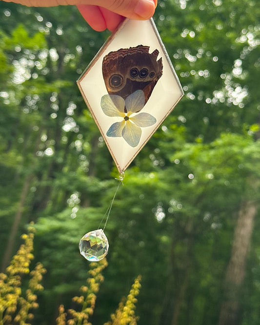 Blue morpho and hydrangea mobile