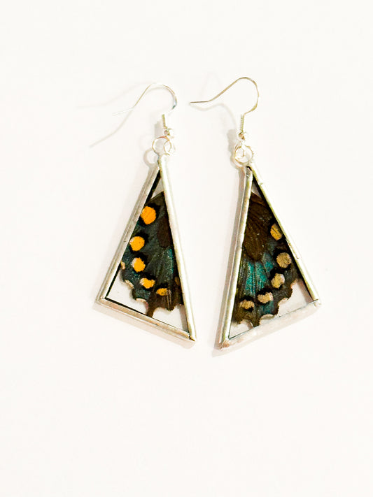 Spicebush swallowtail earrings (triangle)