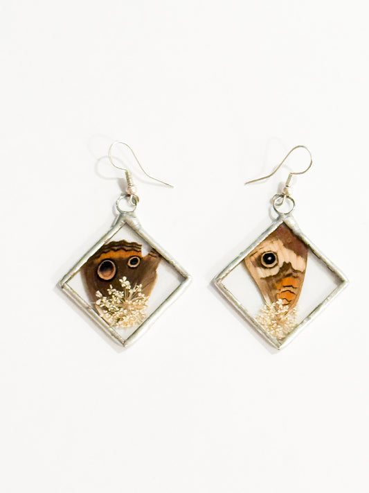 Common buckeye earrings (diamond)