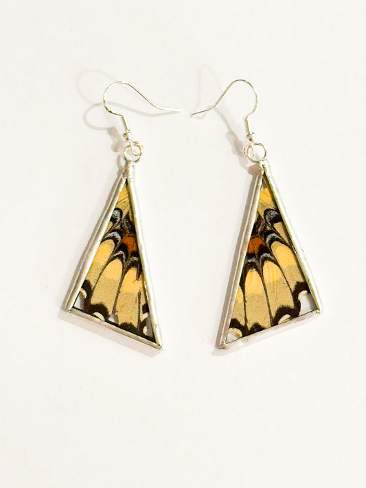 Eastern Giant Swallowtail wing earrings (triangle)