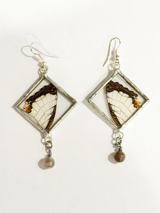 Map butterfly earrings with bead